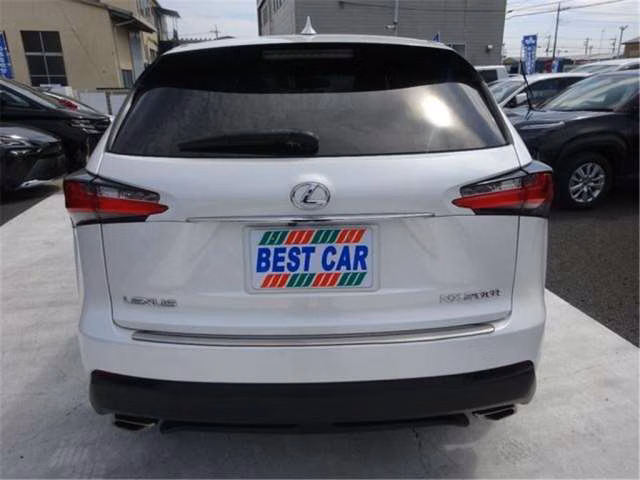 LEXUS NX200T