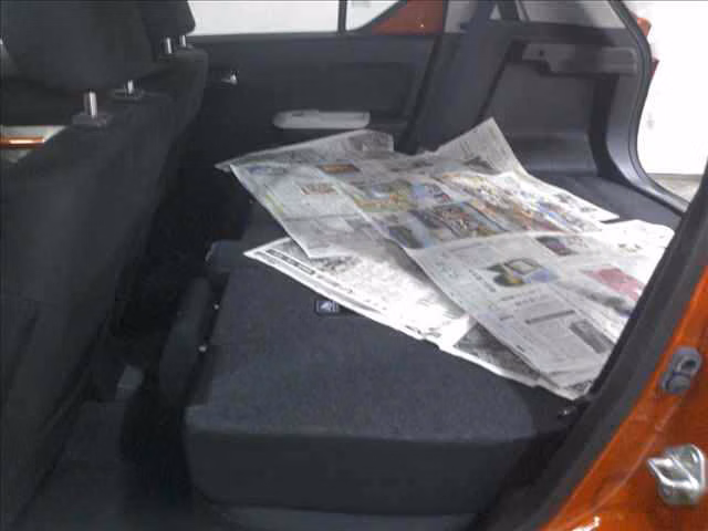 SUZUKI IGNIS