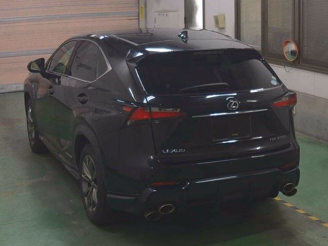 LEXUS NX300