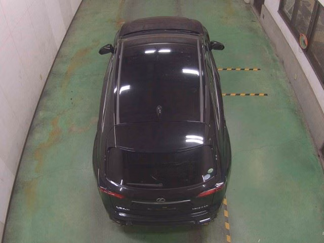 LEXUS NX300