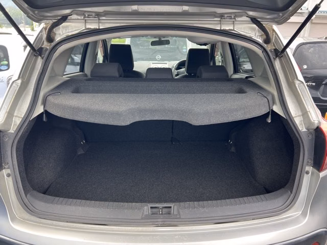 NISSAN DUALIS