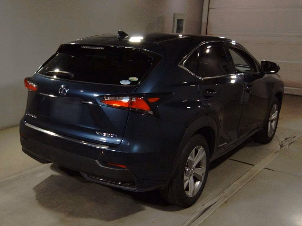 LEXUS NX300