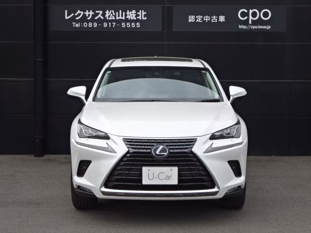 LEXUS NX300H