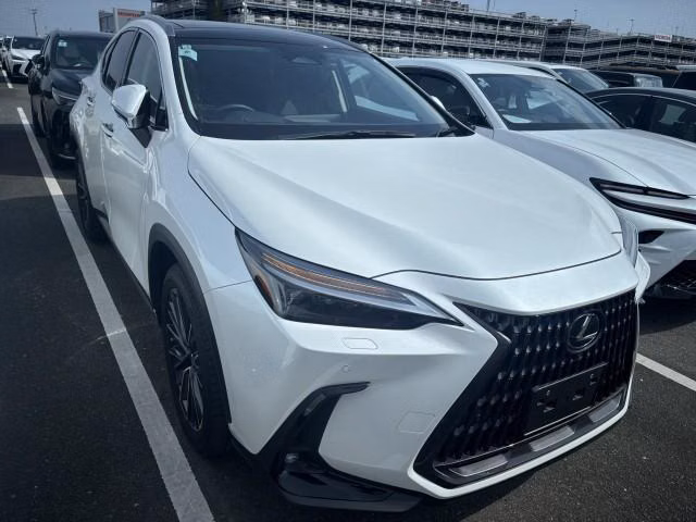 LEXUS NX250