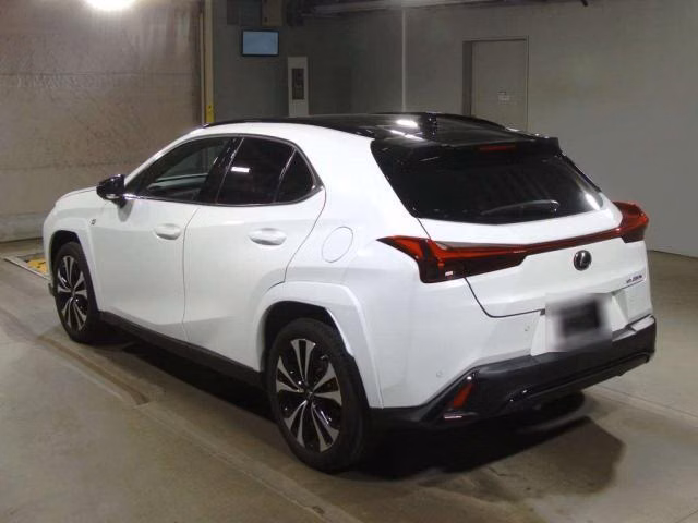 LEXUS UX250H