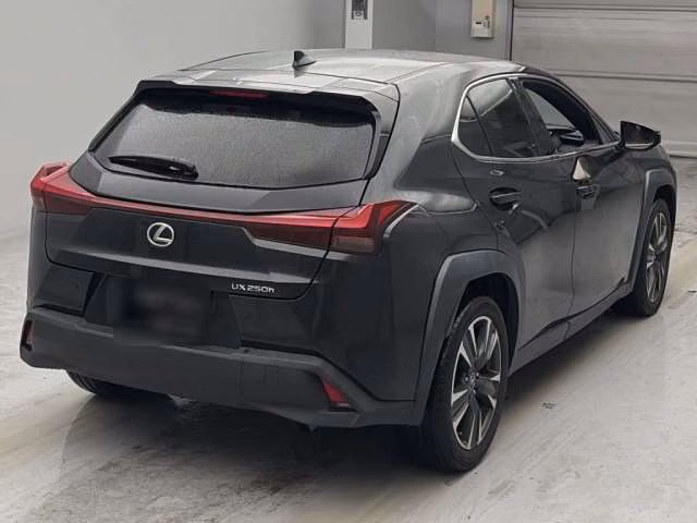 LEXUS UX250H