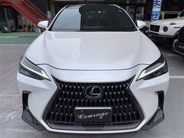 LEXUS NX350H
