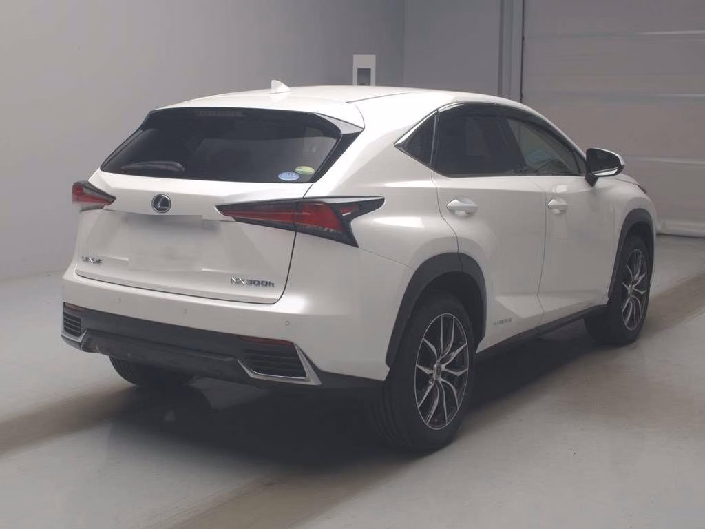 LEXUS NX300H