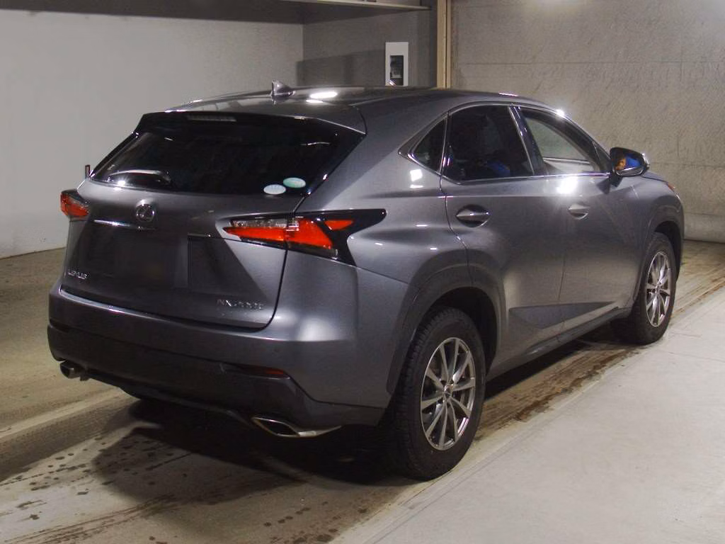 LEXUS NX300