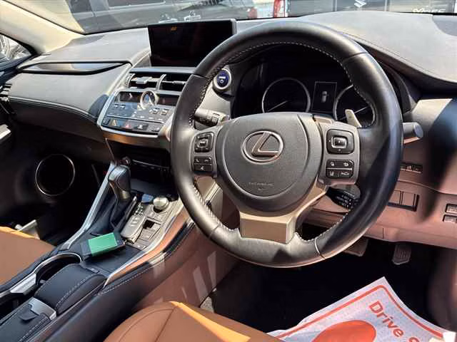 LEXUS NX300H