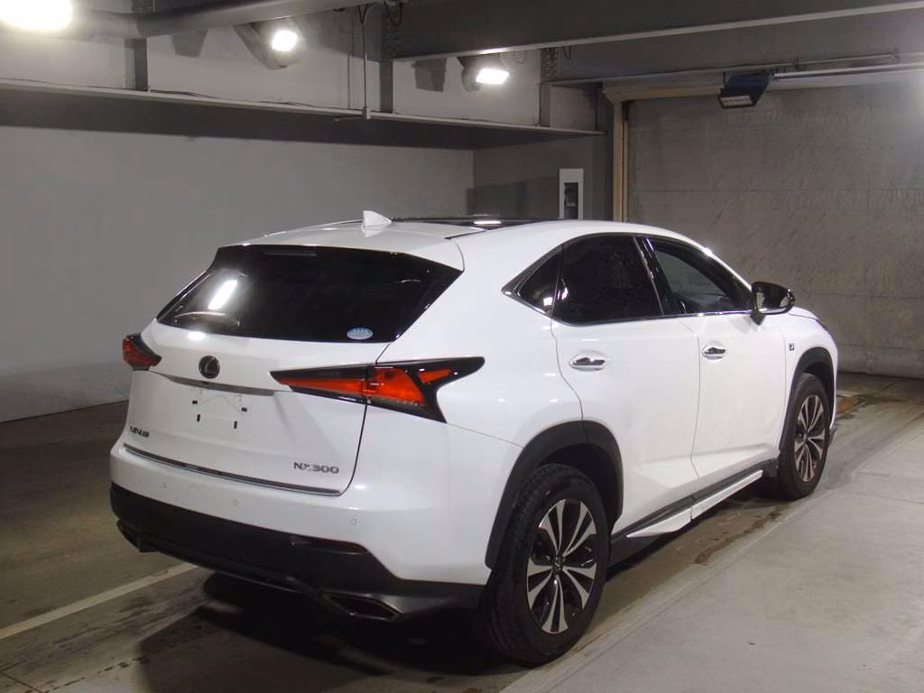LEXUS NX300