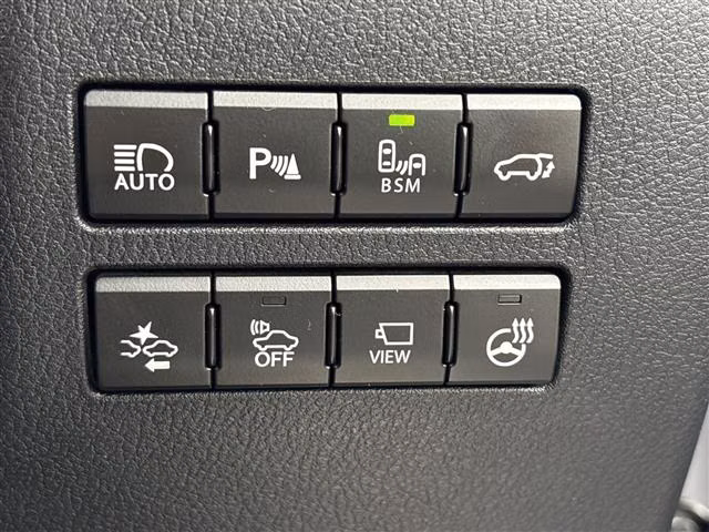 LEXUS NX300