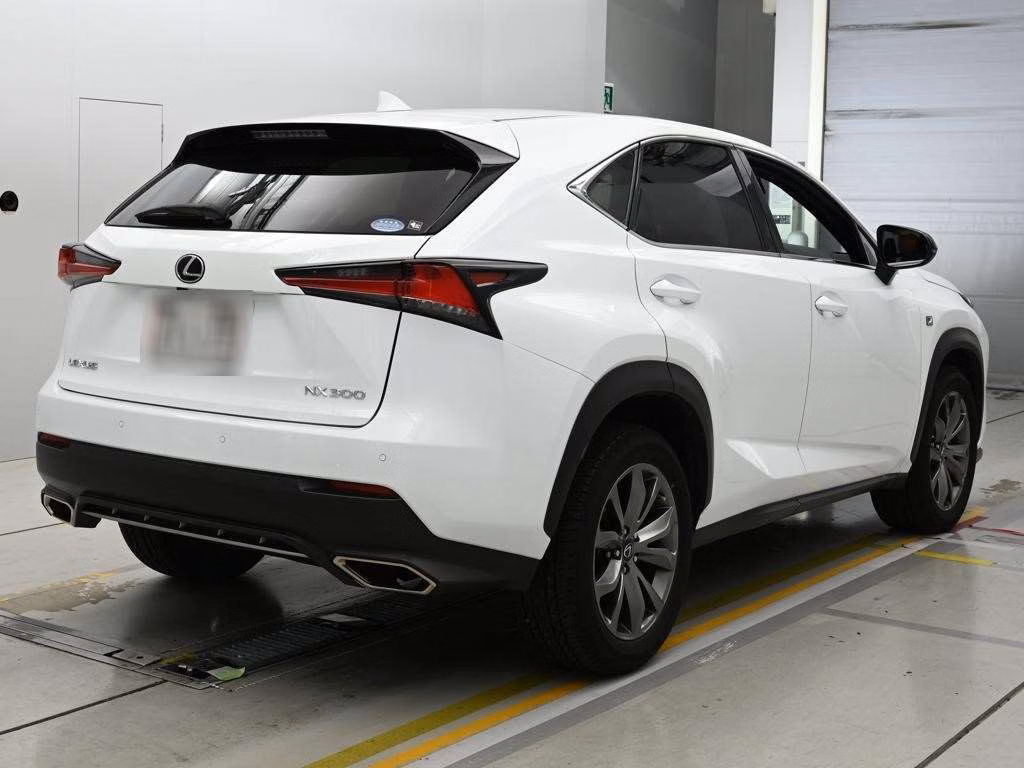 LEXUS NX300
