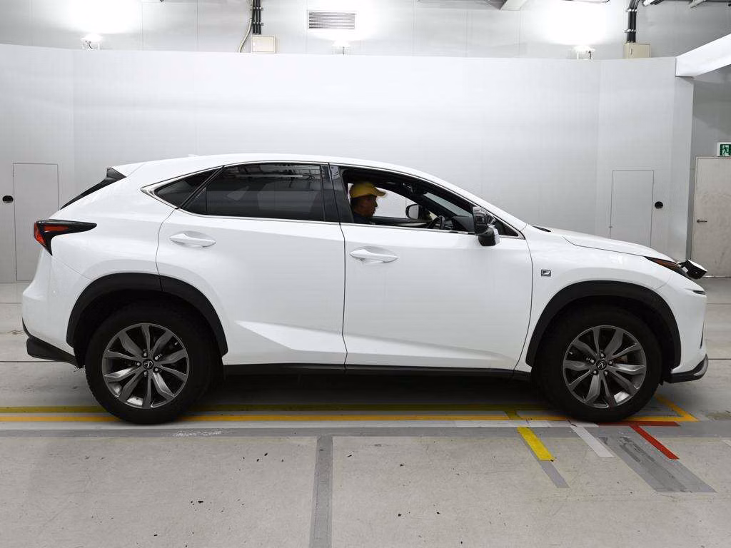 LEXUS NX300