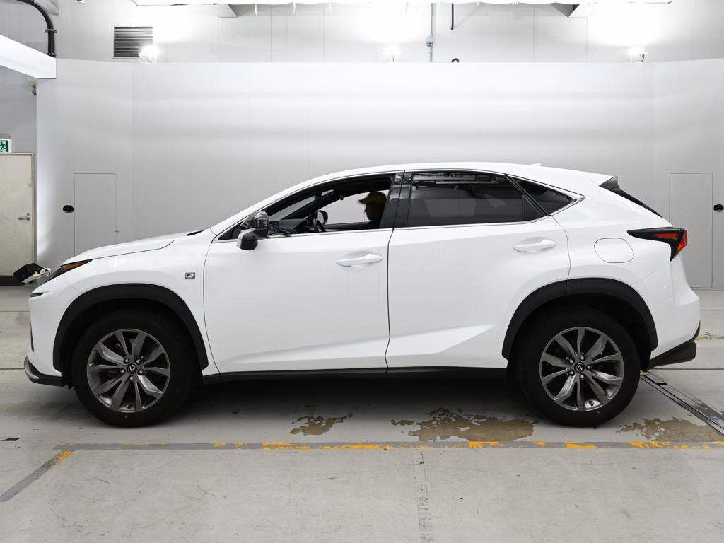LEXUS NX300
