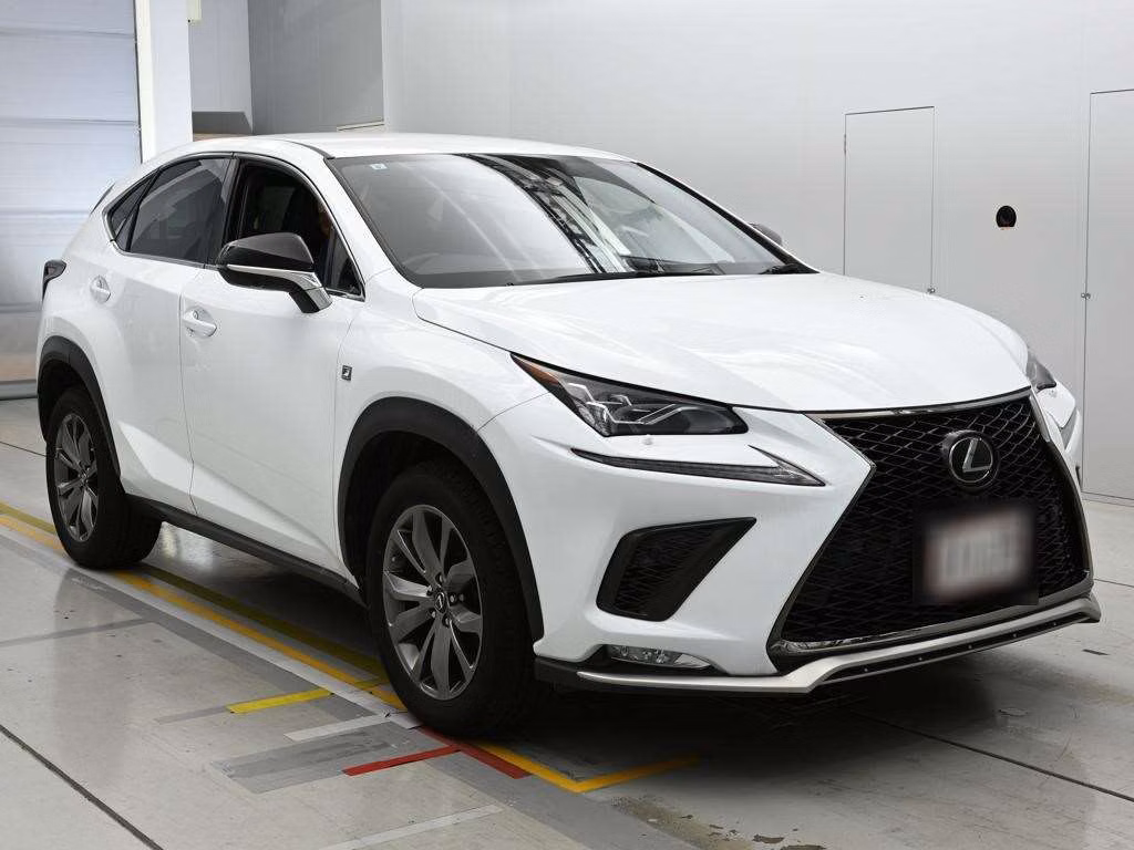 LEXUS NX300