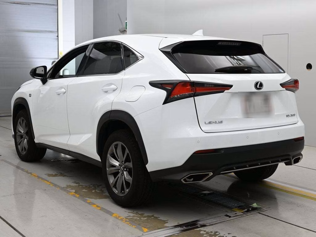 LEXUS NX300