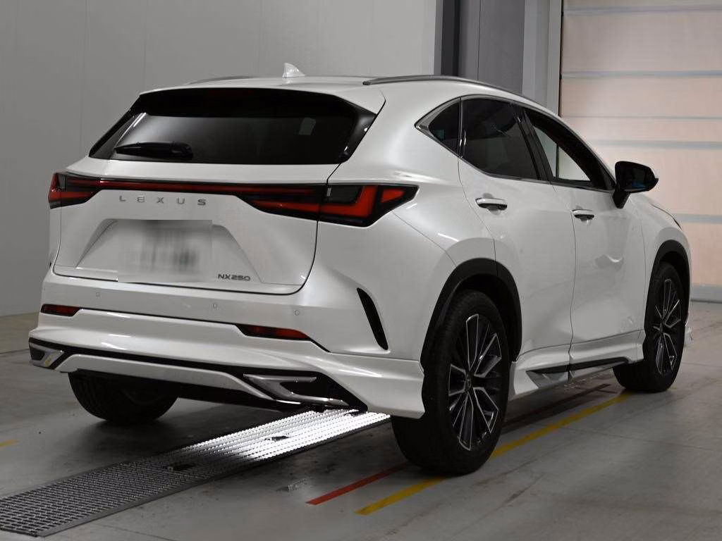 LEXUS NX250