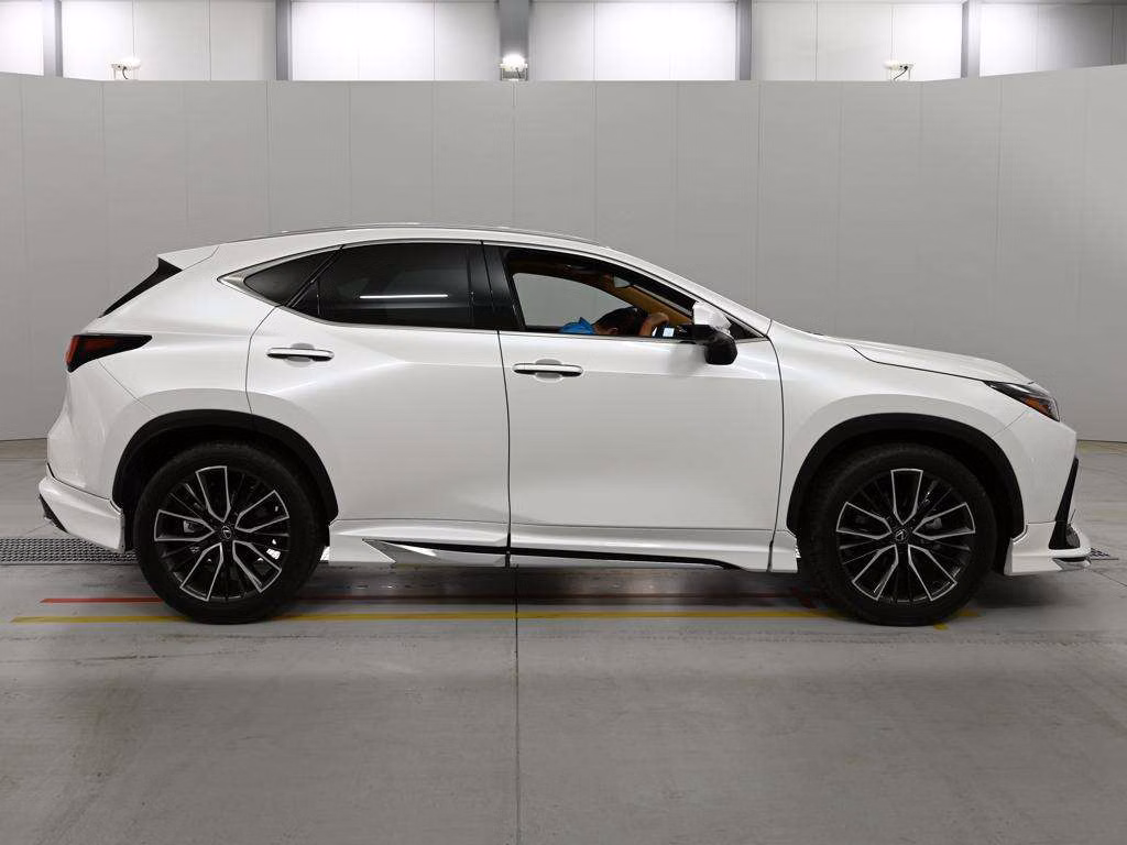 LEXUS NX250