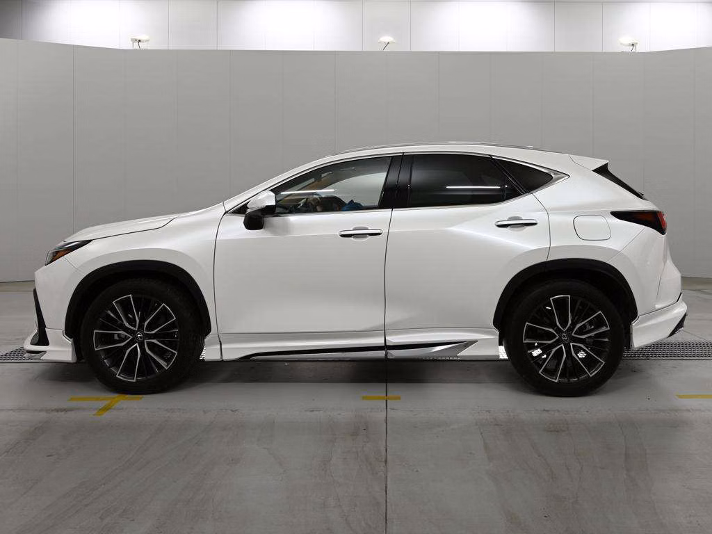 LEXUS NX250