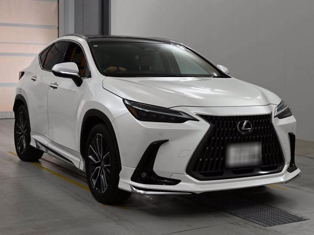 LEXUS NX250