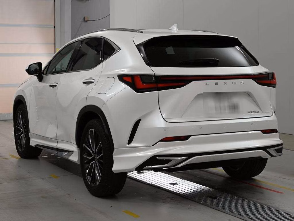 LEXUS NX250