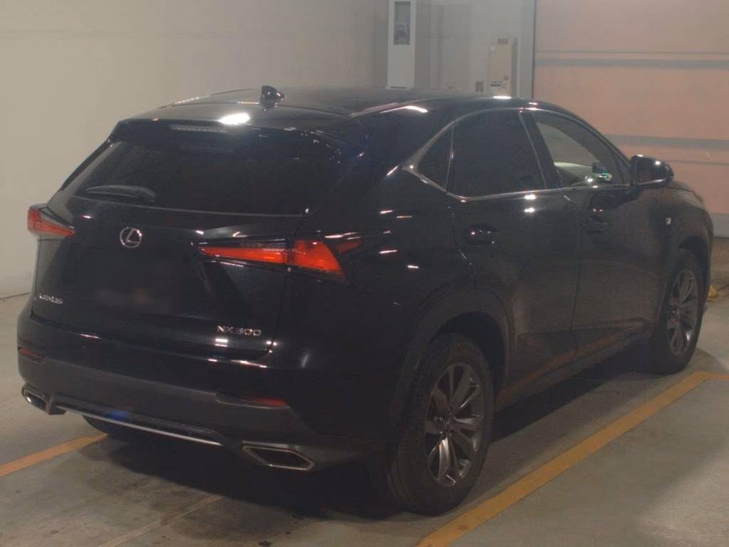 LEXUS NX300