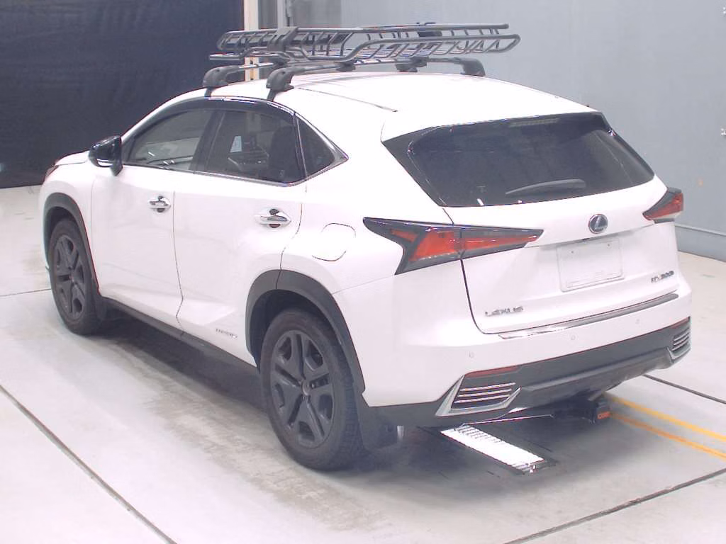 LEXUS NX300H
