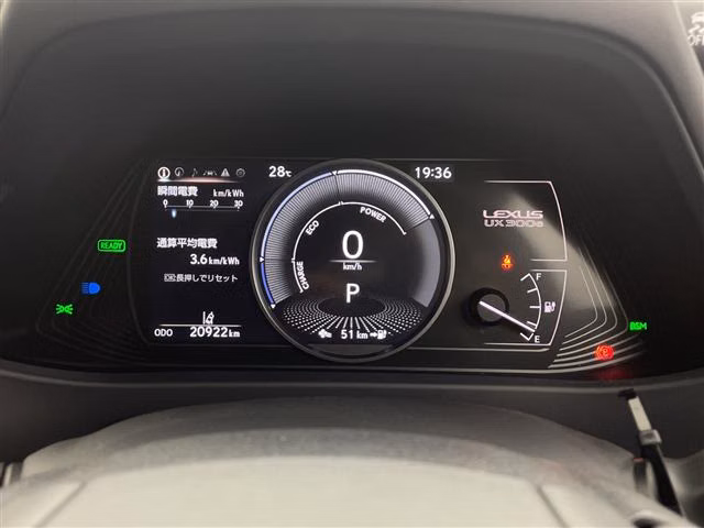 LEXUS UX300E