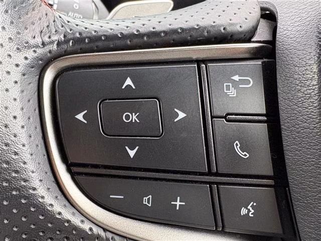 LEXUS UX250H