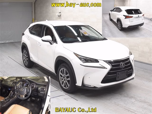 LEXUS NX300H