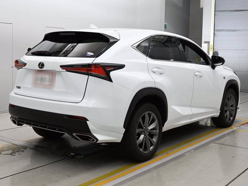 LEXUS NX300