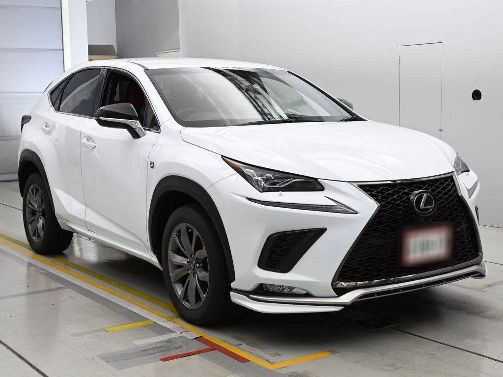 LEXUS NX300