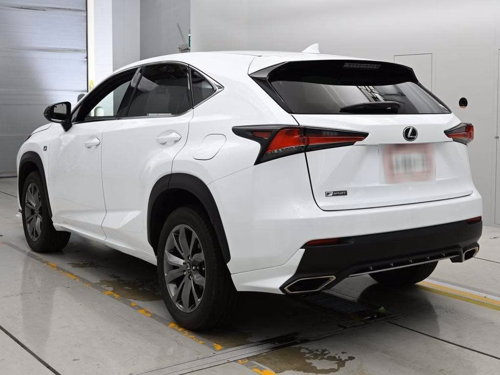 LEXUS NX300