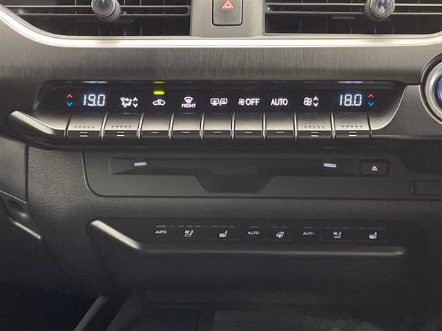 LEXUS UX250H