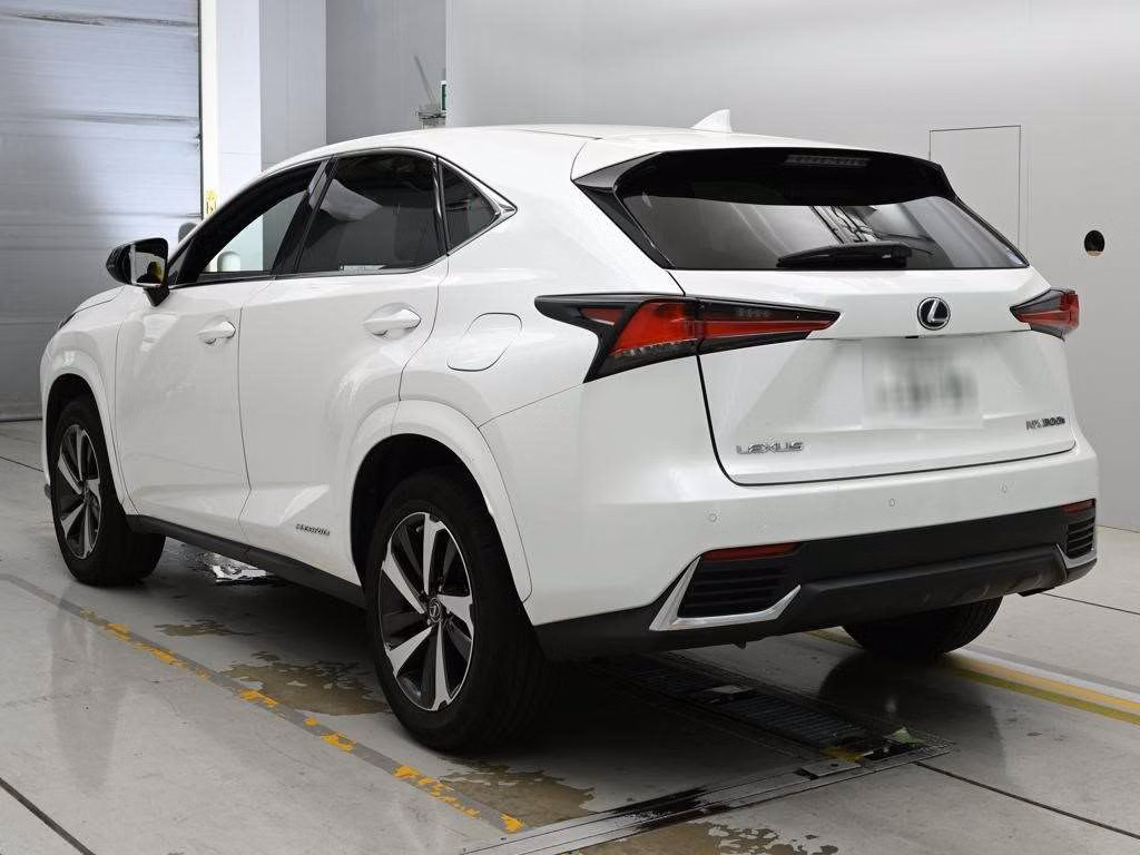 LEXUS NX300H
