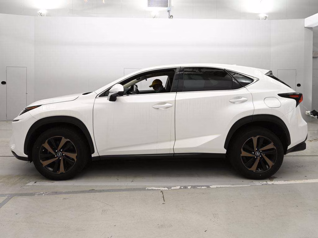 LEXUS NX300