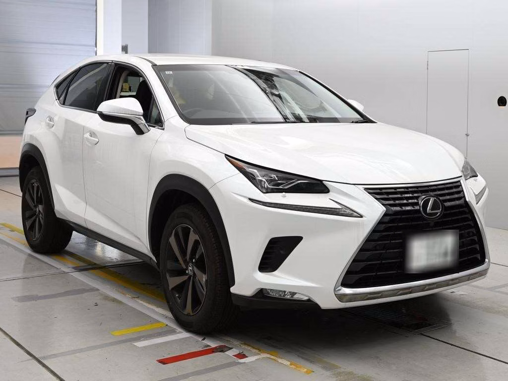LEXUS NX300