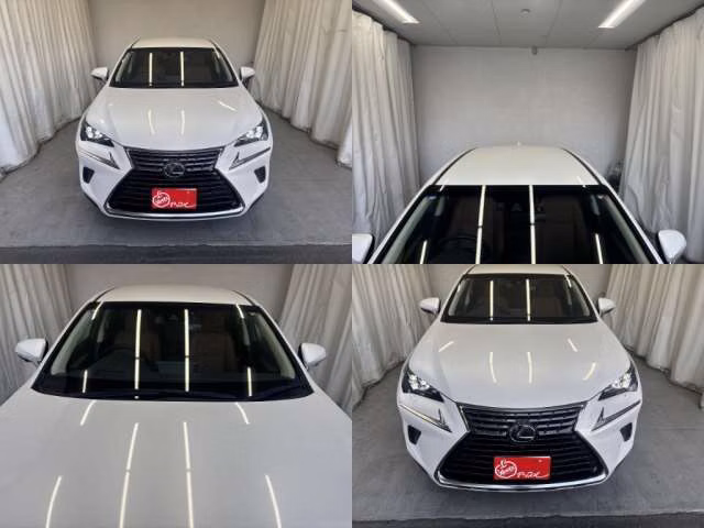 LEXUS NX300