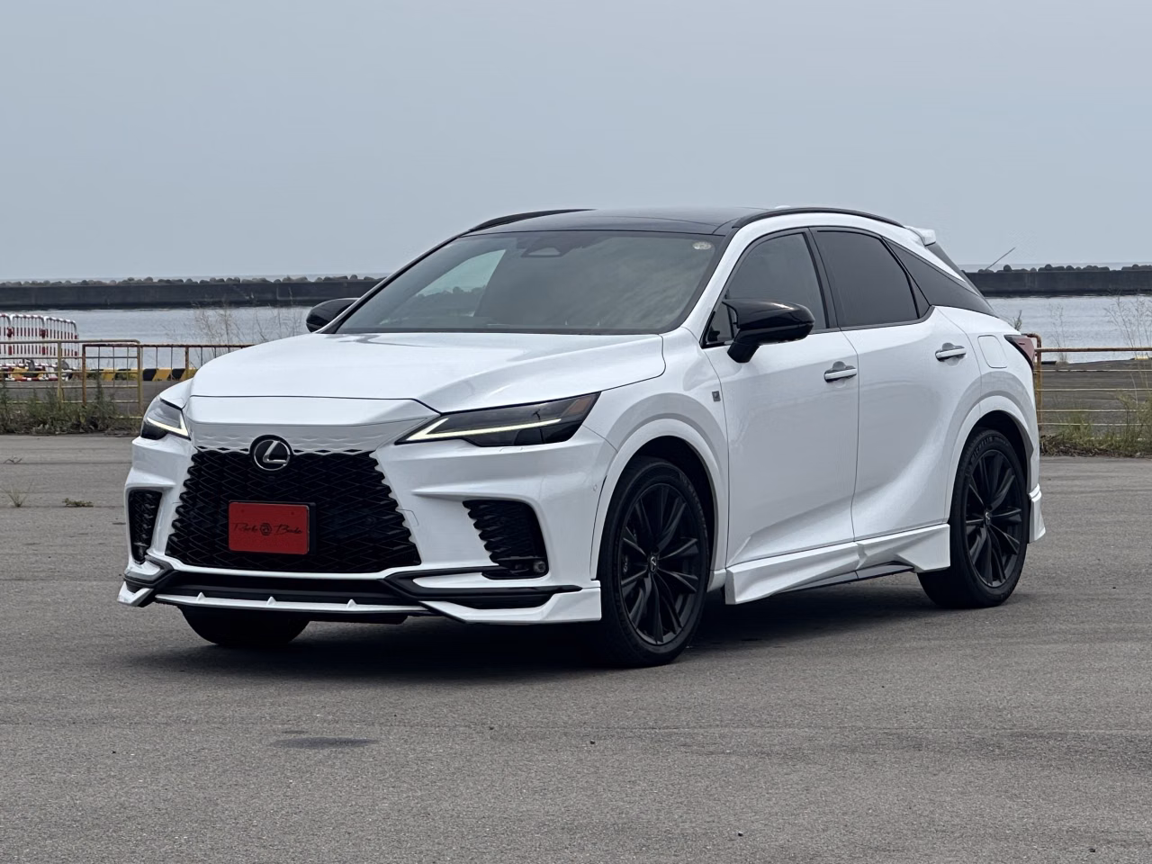 LEXUS RX500H