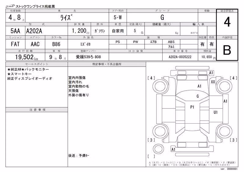 TOYOTA RAIZE