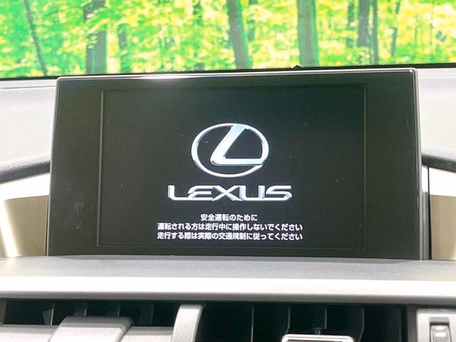 LEXUS NX300H