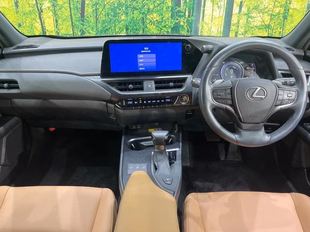 LEXUS UX250H