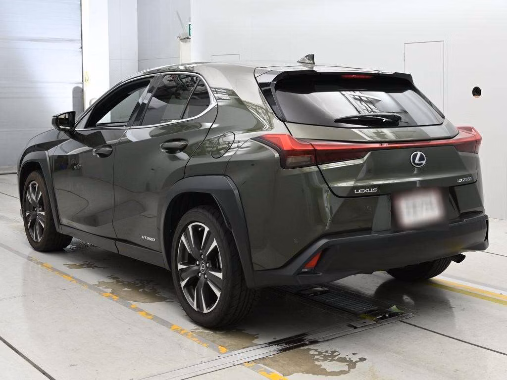 LEXUS UX250H