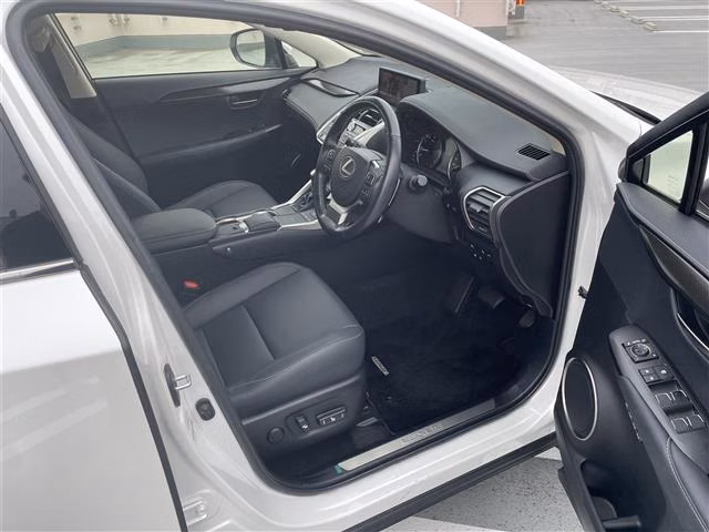 LEXUS NX300
