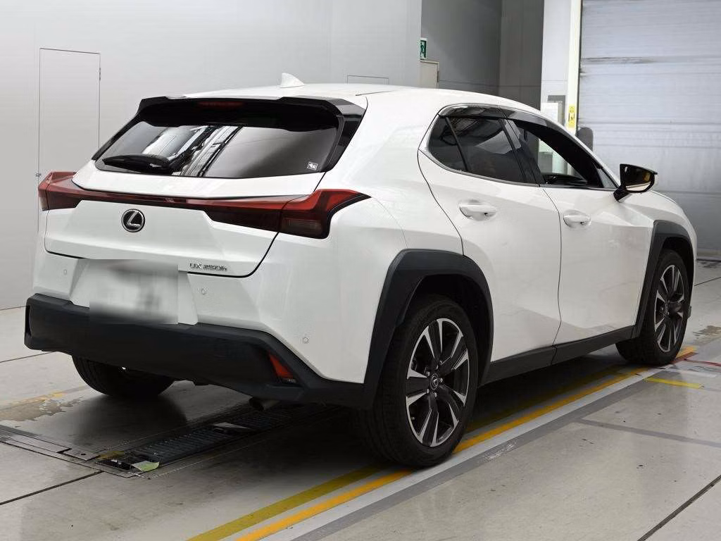 LEXUS UX250H