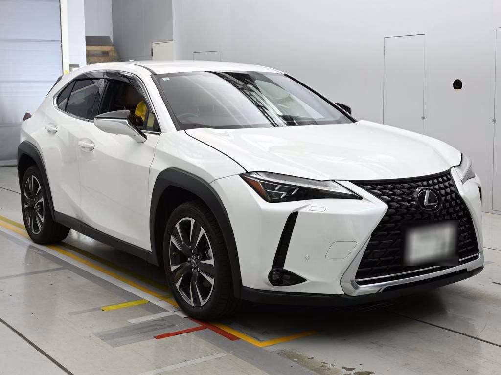 LEXUS UX250H