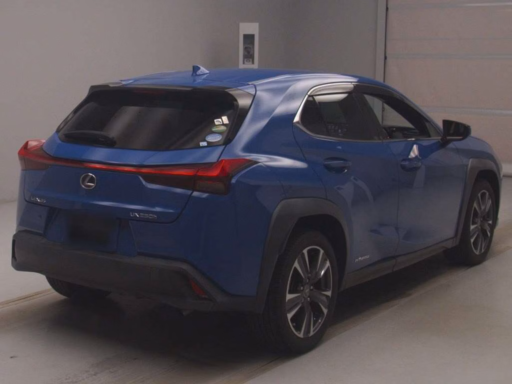 LEXUS UX250H