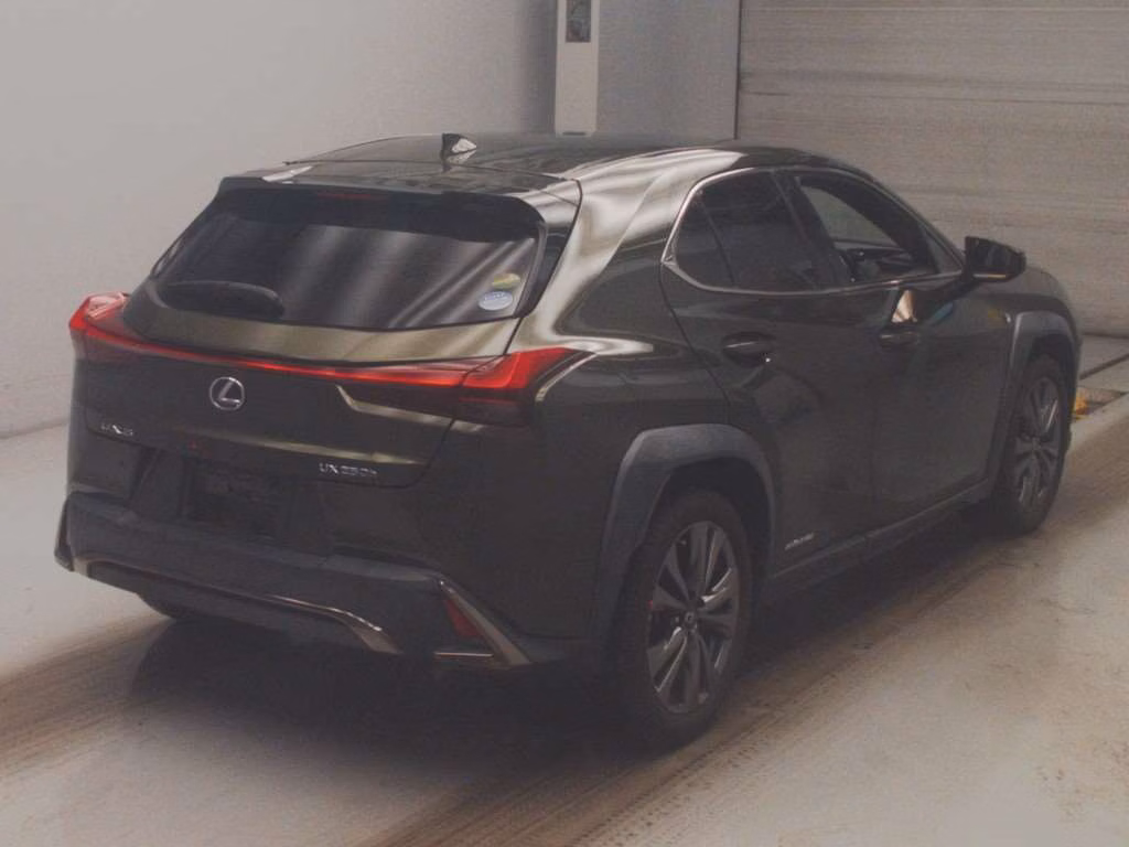 LEXUS UX250H
