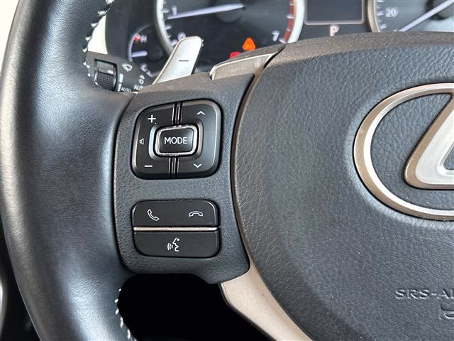 LEXUS NX300